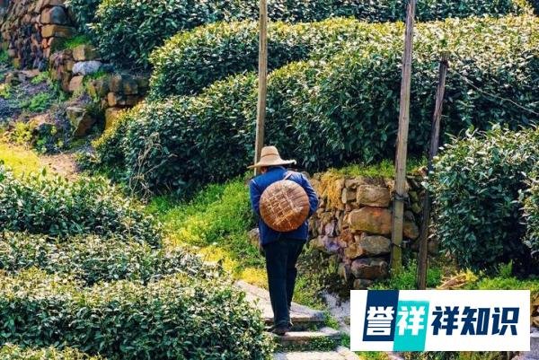 鼓励农民去城市买房了是真的吗？央媒发话了，这三个认知很重要