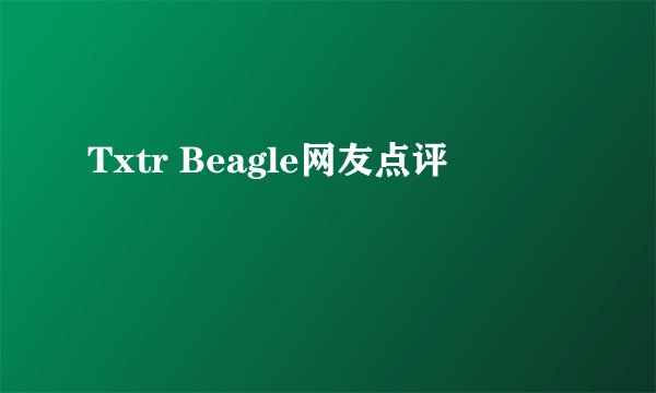 Txtr Beagle网友点评
