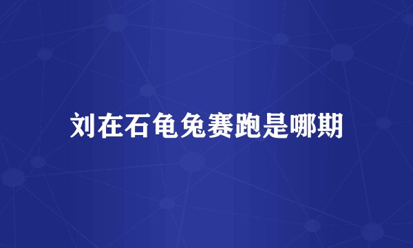 刘在石龟兔赛跑是哪期