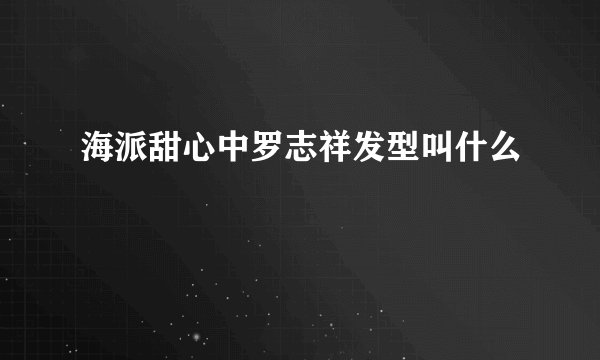 海派甜心中罗志祥发型叫什么