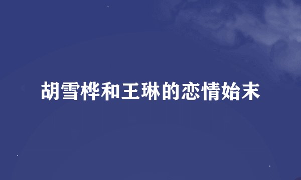 胡雪桦和王琳的恋情始末