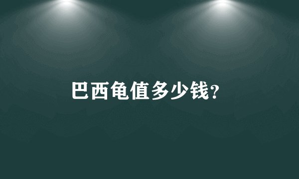 巴西龟值多少钱？