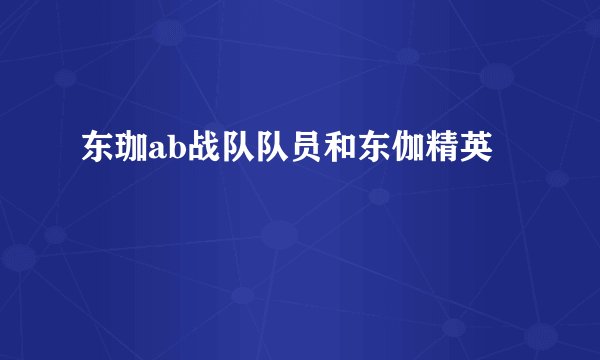 东珈ab战队队员和东伽精英