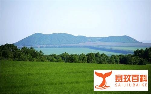 中华人民共和国水土保持法实施条例（2011修订）（涉林部分摘录）