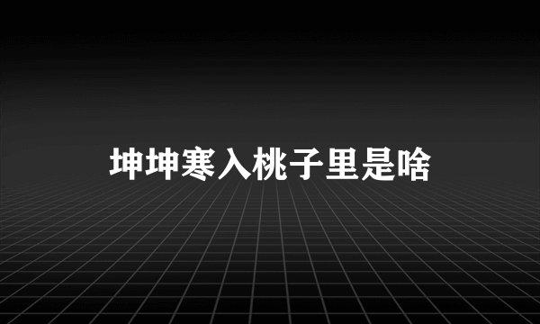 坤坤寒入桃子里是啥