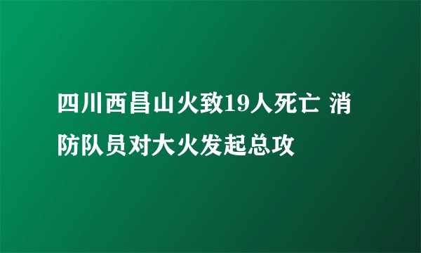 四川西昌山火致19人死亡 消防队员对大火发起总攻