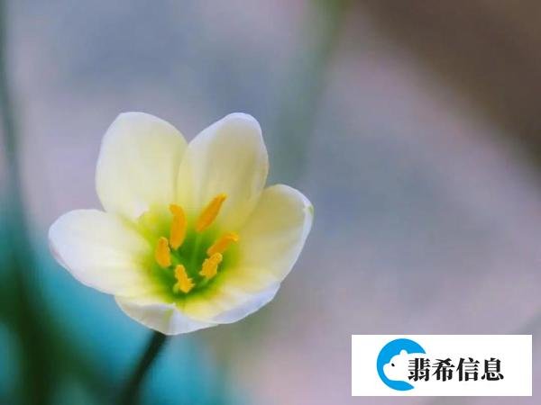 诗词丨百事从心起,一笑解千愁