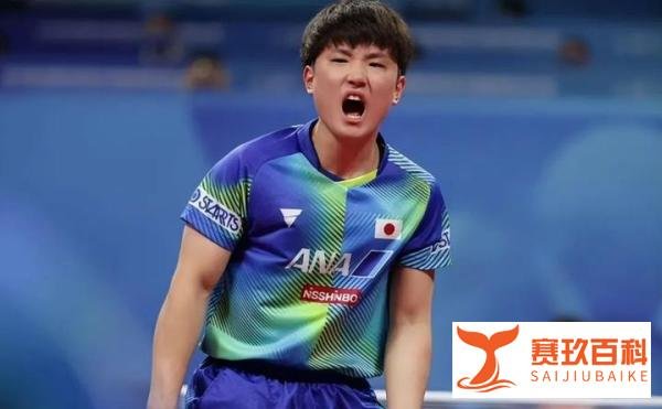 单局爆砍9-1！张本智和4-0吊打世界冠军，决赛再战国乒球星