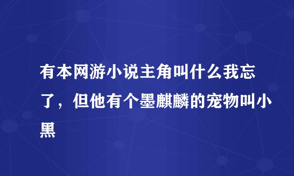 有本网游小说主角叫什么我忘了，但他有个墨麒麟的宠物叫小黑