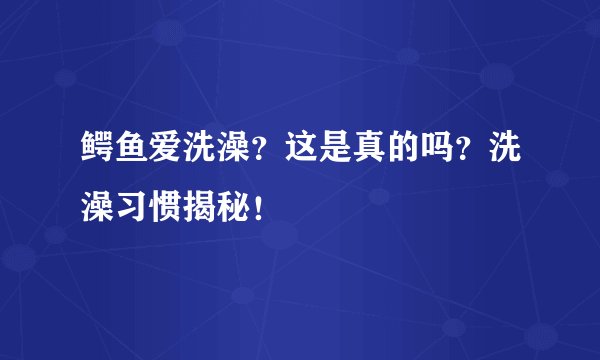 鳄鱼爱洗澡？这是真的吗？洗澡习惯揭秘！
