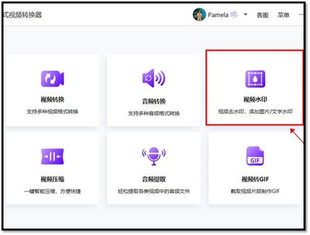 视频怎么去水印