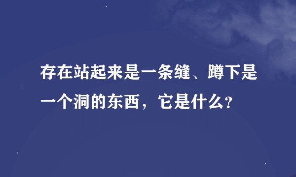存在站起来是一条缝、蹲下是一个洞的东西，它是什么？