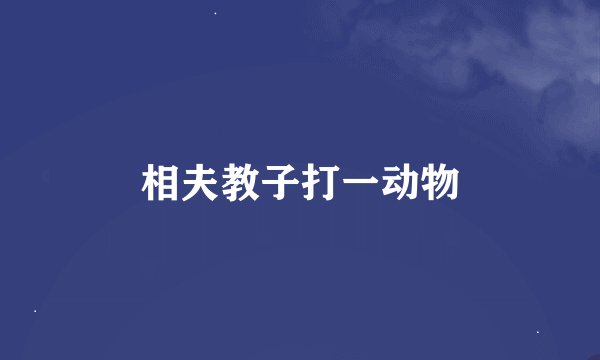 相夫教子打一动物