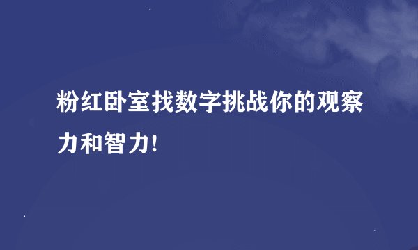 粉红卧室找数字挑战你的观察力和智力!