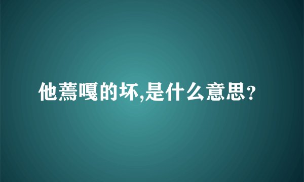 他蔫嘎的坏,是什么意思？