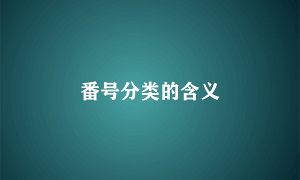 番号分类的含义