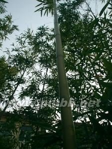 益都卫校的学校概况