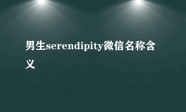 男生serendipity微信名称含义