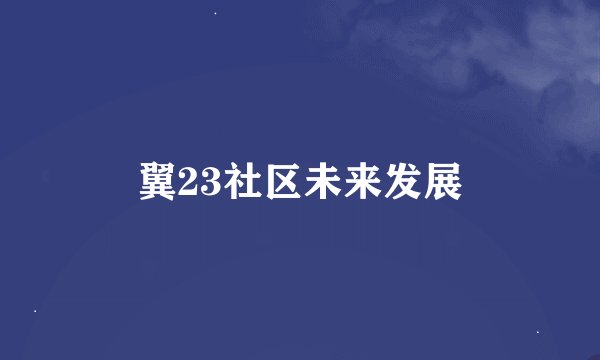 翼23社区未来发展