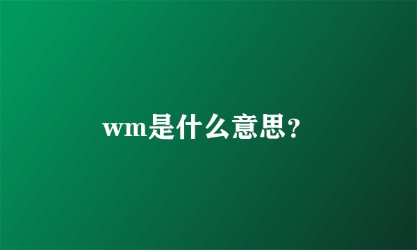 wm是什么意思？