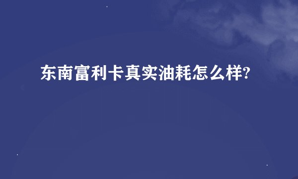 东南富利卡真实油耗怎么样?