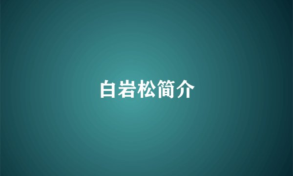 白岩松简介