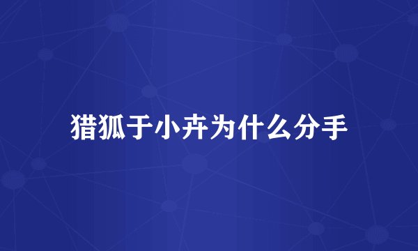 猎狐于小卉为什么分手