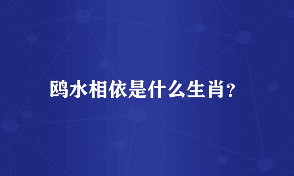 鸥水相依是什么生肖？