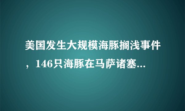 美国发生大规模海豚搁浅事件，146只海豚在马萨诸塞州科德角搁浅
