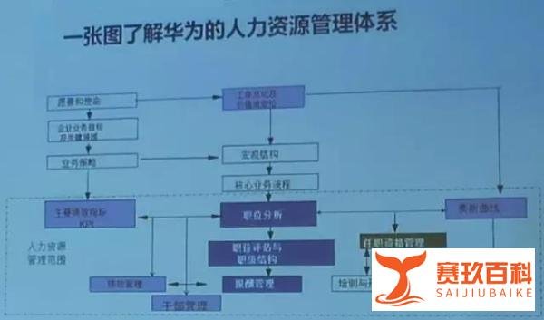 华为内部绩效管理曝光！3个人干5个人的活，拿4个人的工资！