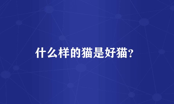什么样的猫是好猫?