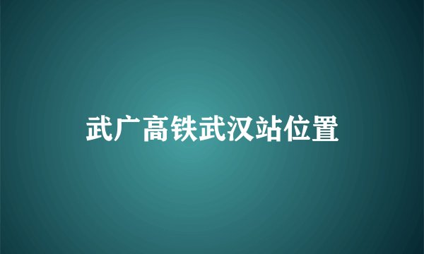 武广高铁武汉站位置