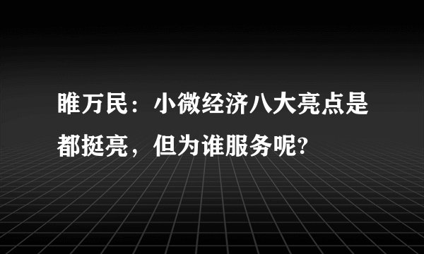 睢万民：小微经济八大亮点是都挺亮，但为谁服务呢?
