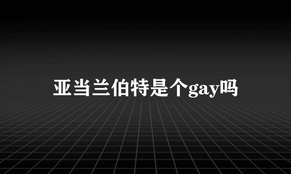 亚当兰伯特是个gay吗