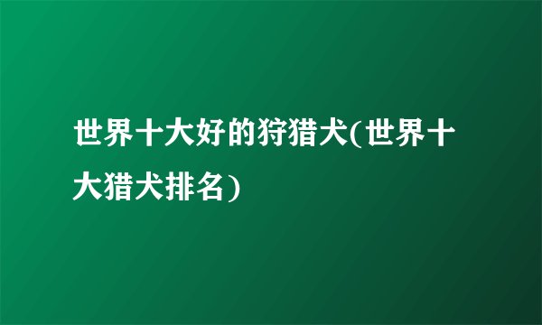 世界十大好的狩猎犬(世界十大猎犬排名)