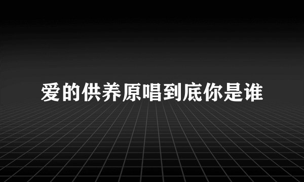 爱的供养原唱到底你是谁