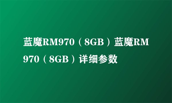 蓝魔RM970（8GB）蓝魔RM970（8GB）详细参数