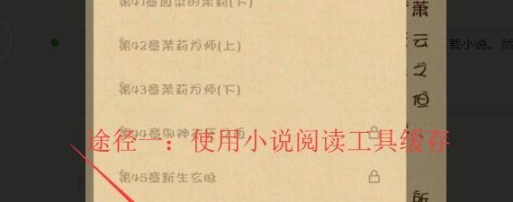 如何将小说下载到手机中？