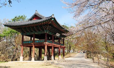 三星为女子深夜跑步广告道歉,引发网友热议的焦点是什么?