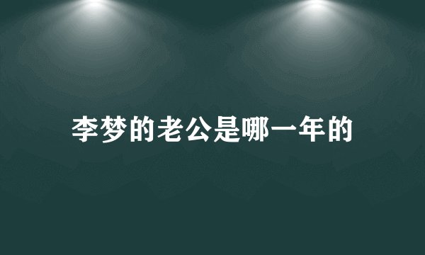 李梦的老公是哪一年的