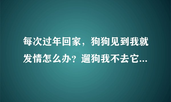 每次过年回家，狗狗见到我就发情怎么办？遛狗我不去它也不去，而且每天粘着我，寸步不离，别人靠近就凶？