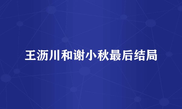 王沥川和谢小秋最后结局