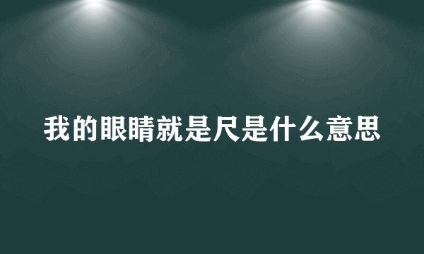 我的眼睛就是尺是什么意思