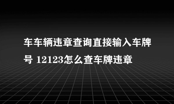 车车辆违章查询直接输入车牌号 12123怎么查车牌违章