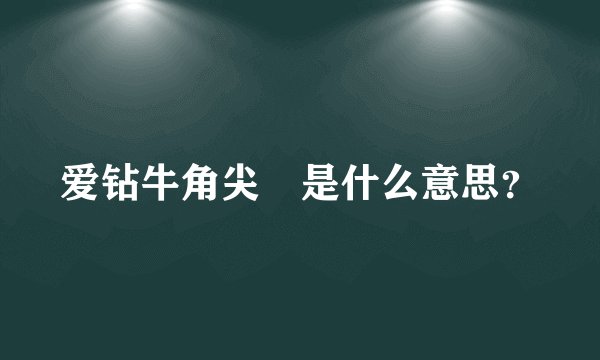 爱钻牛角尖 是什么意思？