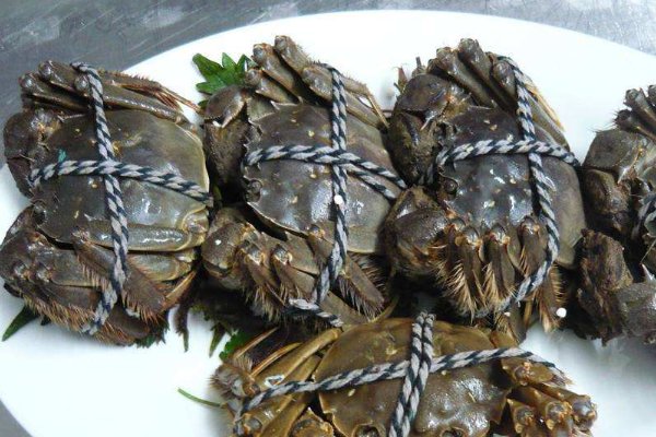 死海螃蟹能吃吗?