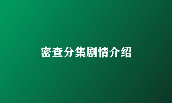 密查分集剧情介绍