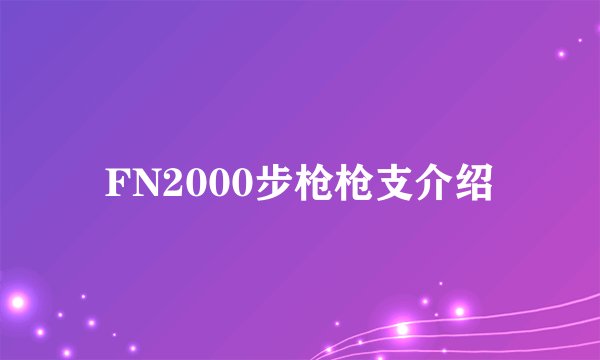 FN2000步枪枪支介绍