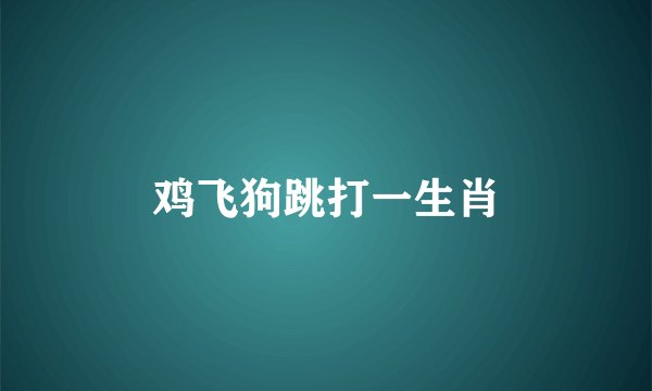 鸡飞狗跳打一生肖