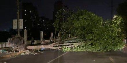 被江苏14级大风吹的原地转圈的飞机，受到了怎样的损伤？
